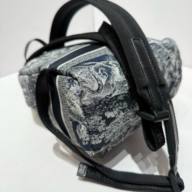 迪奧 /DIOR叢林系列 travel 動物園雙肩包書包 小號 後背包藍色百搭時尚自重輕-11