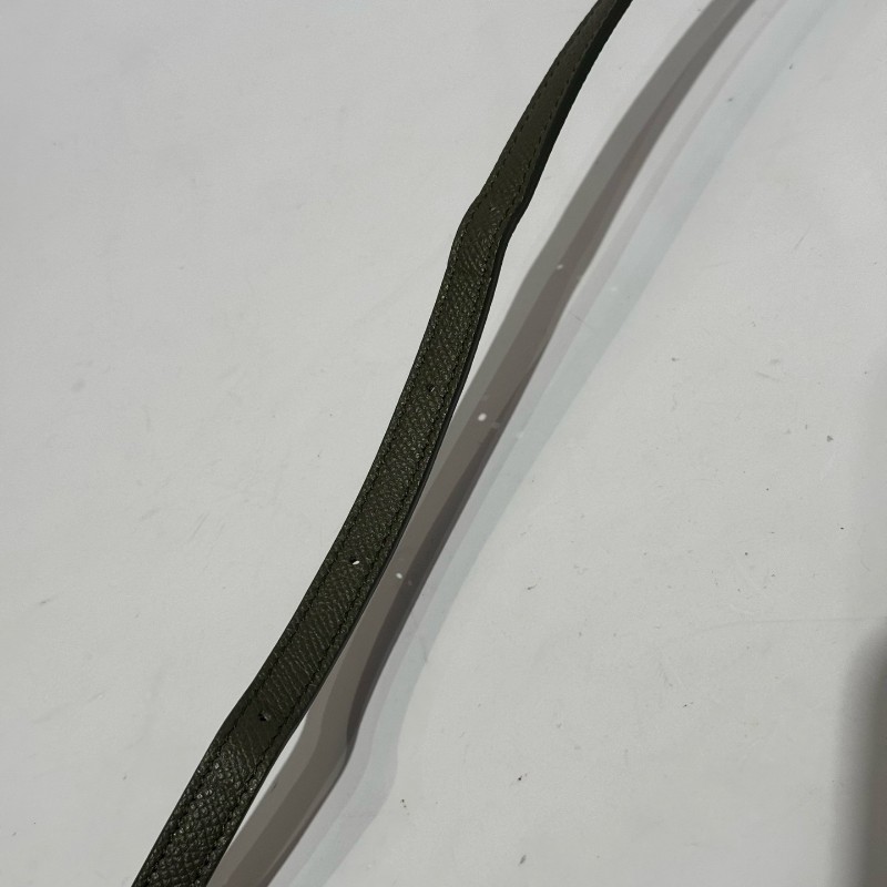 Celine 新標鯰魚nano墨綠色荔枝紋牛皮搭配金色五金 手提包 肩背包-16