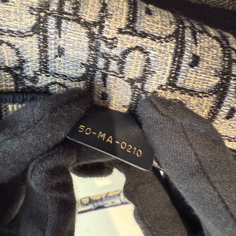 DIOR 老花中號托特包-7