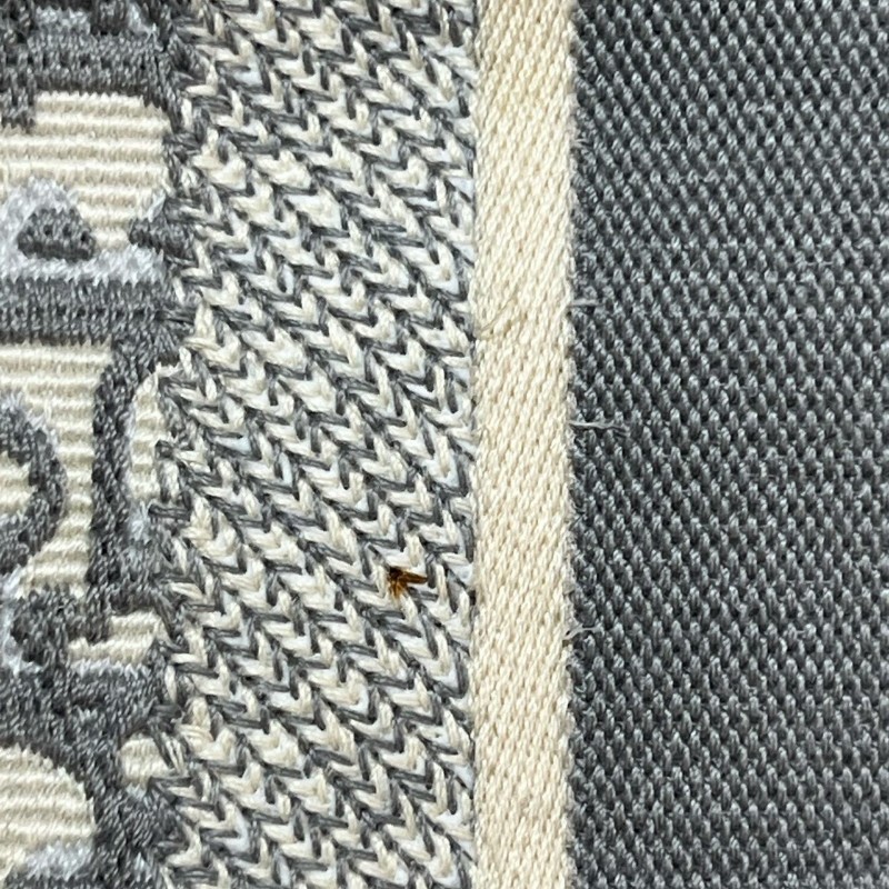 Dior Book tote中號帆布Oblique老花托特包-18