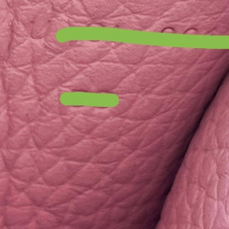 HERME'S Halzan 25 錦葵紫銀釦-34