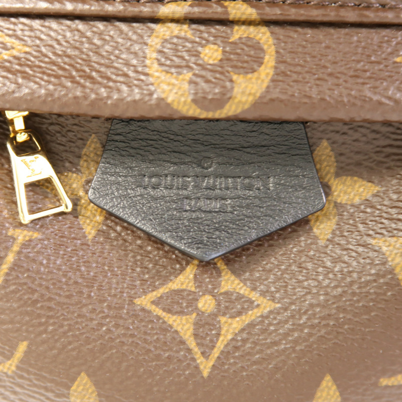 LOUIS VUITTON Monogram Macassar Palm Springs Mini金扣背包-8