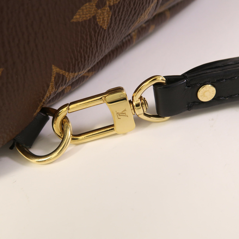 LOUIS VUITTON Monogram Macassar Palm Springs Mini金扣背包-10