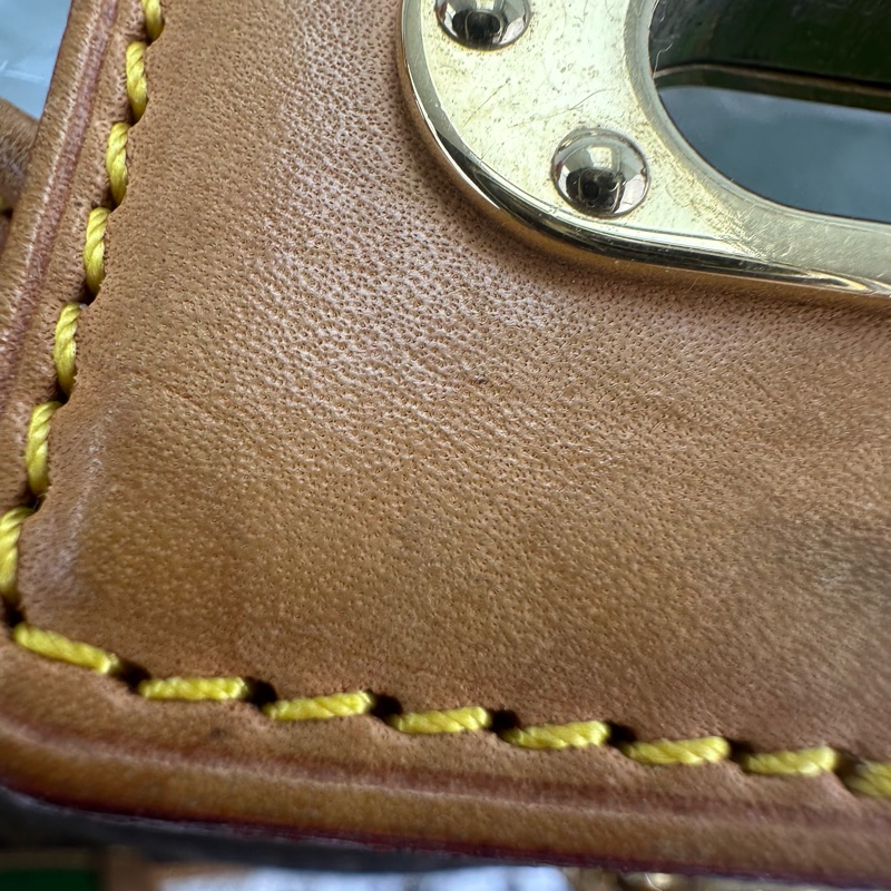 LV Perforated Musette中古老花拼綠色鏤空包-8