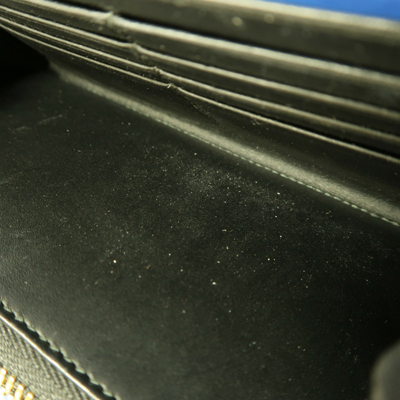 LOEWE 牛皮皮革Long Wallet金扣長錢包-16