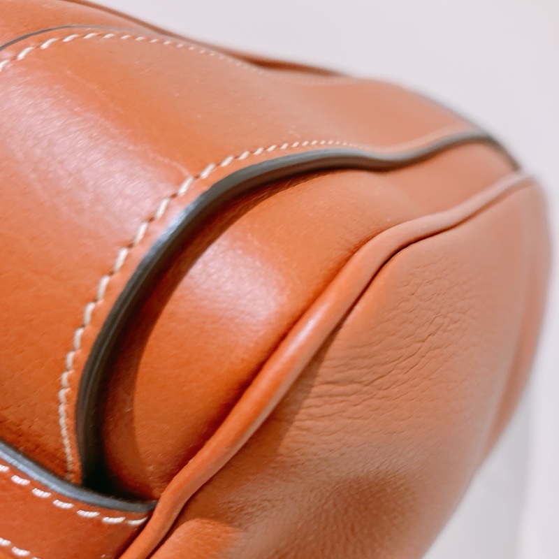 TK1780 CELINE 思琳中號長型單肩包包MEDIUM ROMY SHOULDER BAG CALFSKIN-21