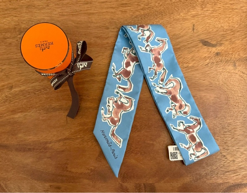 HERMES 自由の馬Twilly-0