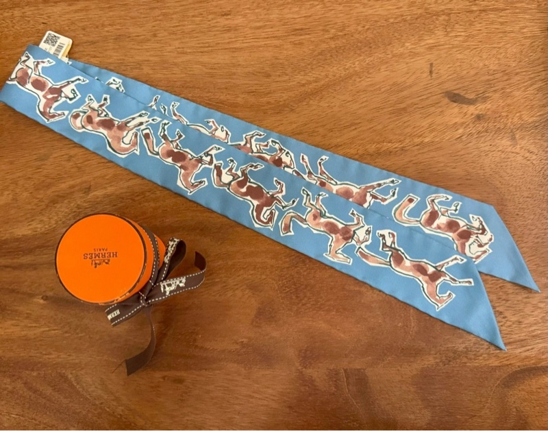 HERMES 自由の馬Twilly-3