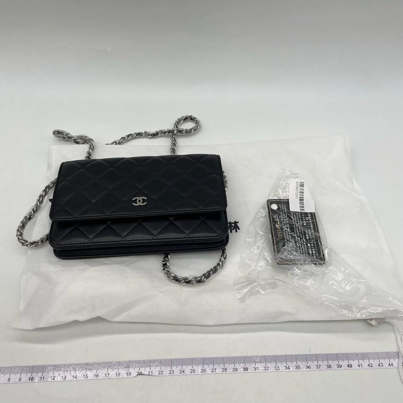 CHANEL CLASSIC WALLET ON CHAIN-35