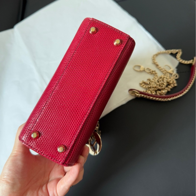 Dior 迪奧 紅金蜥蜴皮三格戴妃包 稀有皮-10