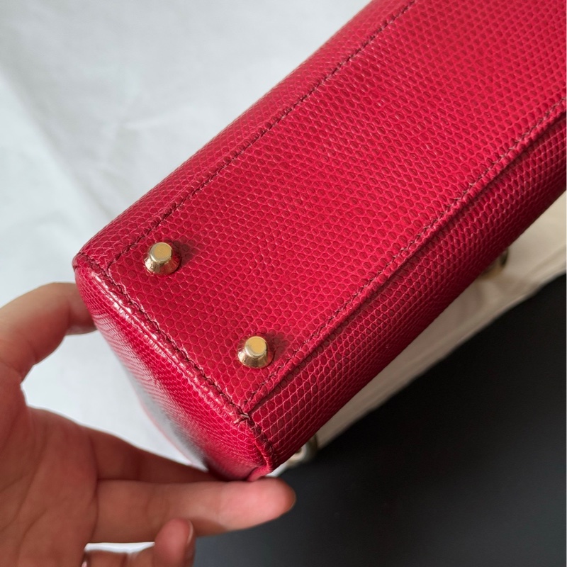 Dior 迪奧 紅金蜥蜴皮三格戴妃包 稀有皮-15