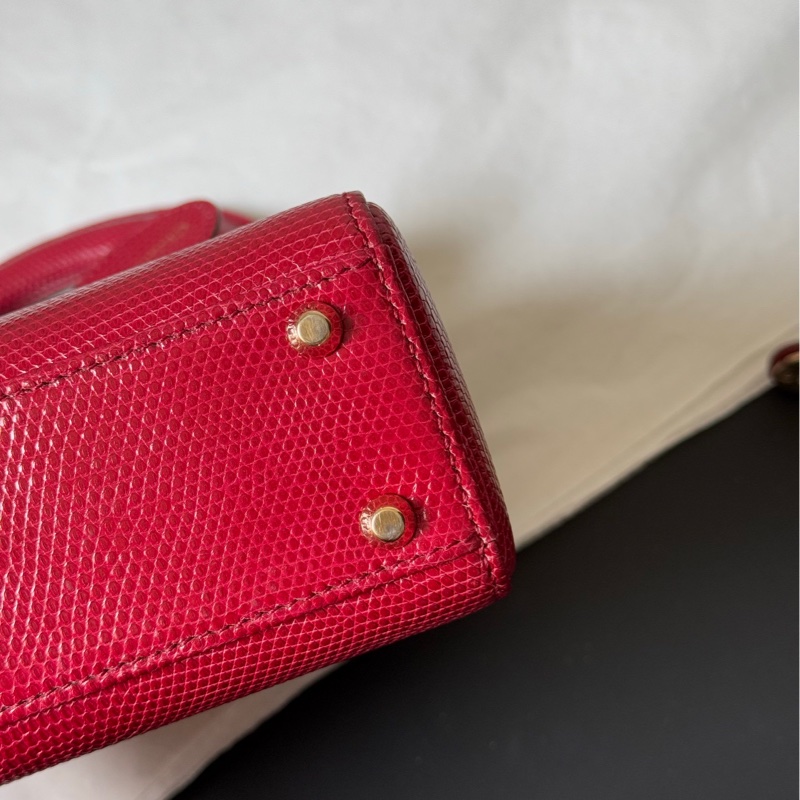 Dior 迪奧 紅金蜥蜴皮三格戴妃包 稀有皮-16