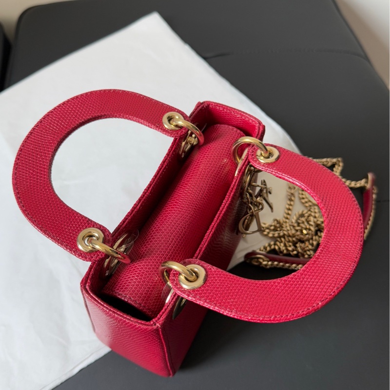 Dior 迪奧 紅金蜥蜴皮三格戴妃包 稀有皮-20