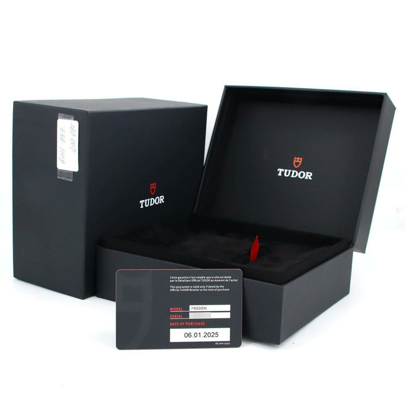 帝舵 Black Bay 54 M79000N-0001 不鏽鋼自動腕錶-7