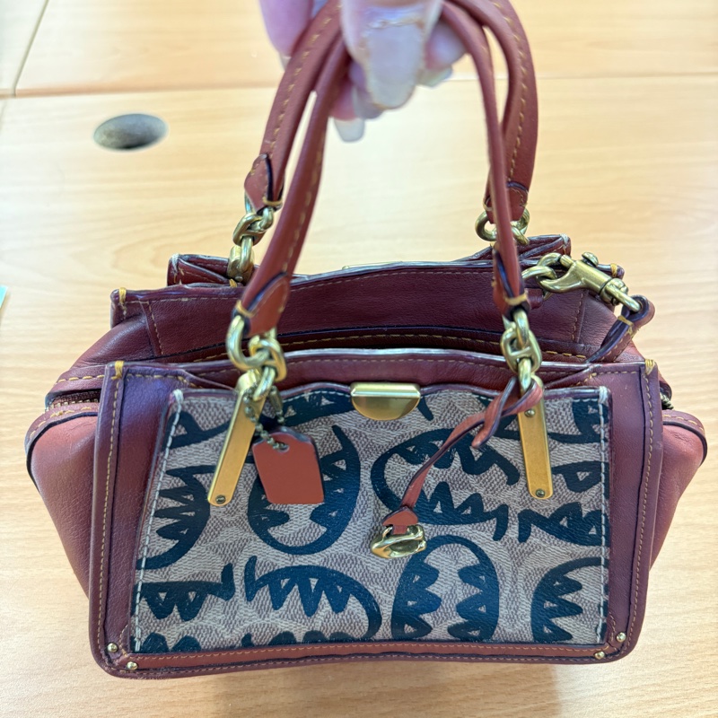 Coach 聯名塗鴉Rexy Dreamer手袋 肩背 斜背 手提-7