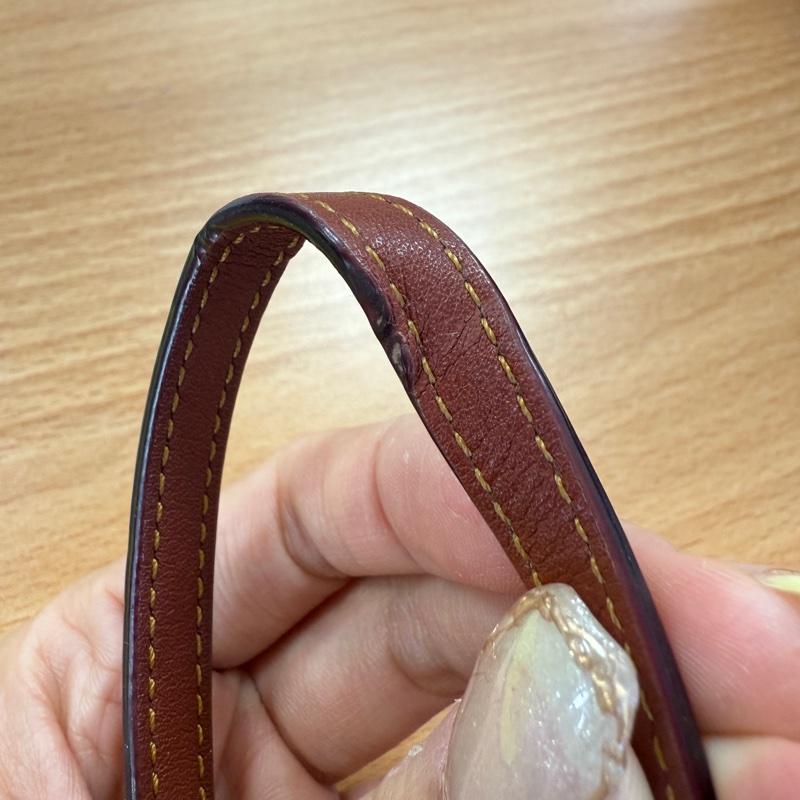 Coach 聯名塗鴉Rexy Dreamer手袋 肩背 斜背 手提-10