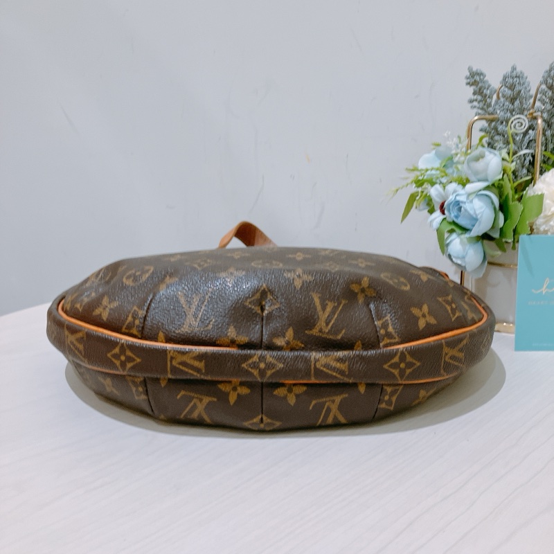 TK1786 Louis Vuitton路易威登老花豌豆包半月包 Monogram Pochette Croissant-9