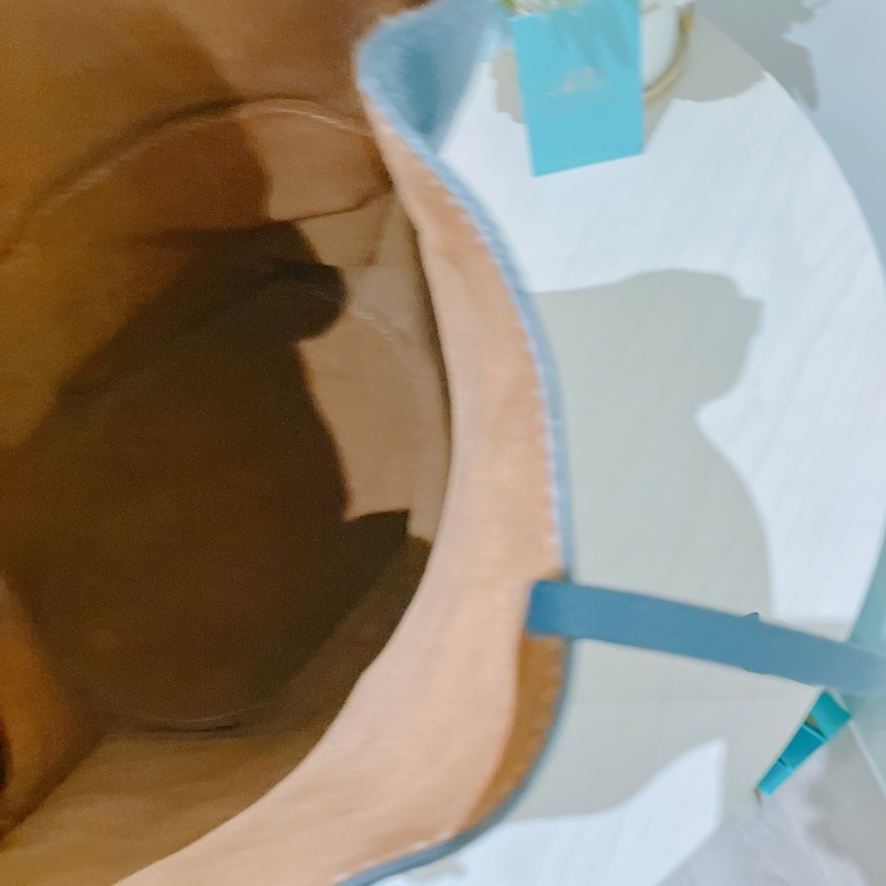 TK1787 Loewe 羅意威水桶包Gate Bucket Blue-53