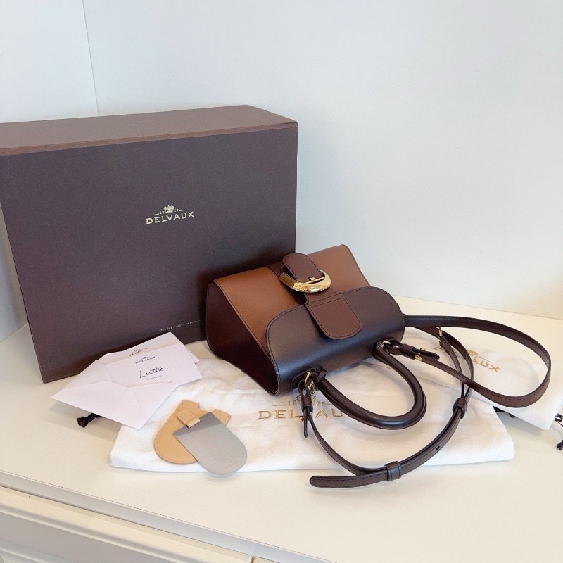 Delvaux Brilliant mini-2