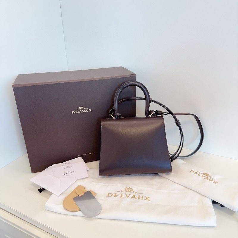 Delvaux Brilliant mini-8