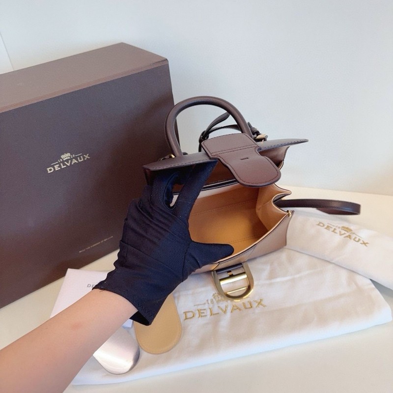 Delvaux Brilliant mini-9