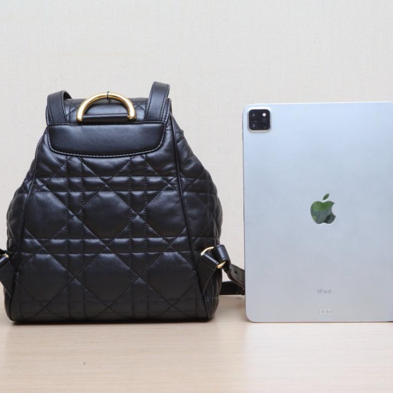 DIOR(迪奧) 2025早春系列 Caro 中號 雙肩包 超大藤格紋 黑色 金扣 2024 羊皮革-2