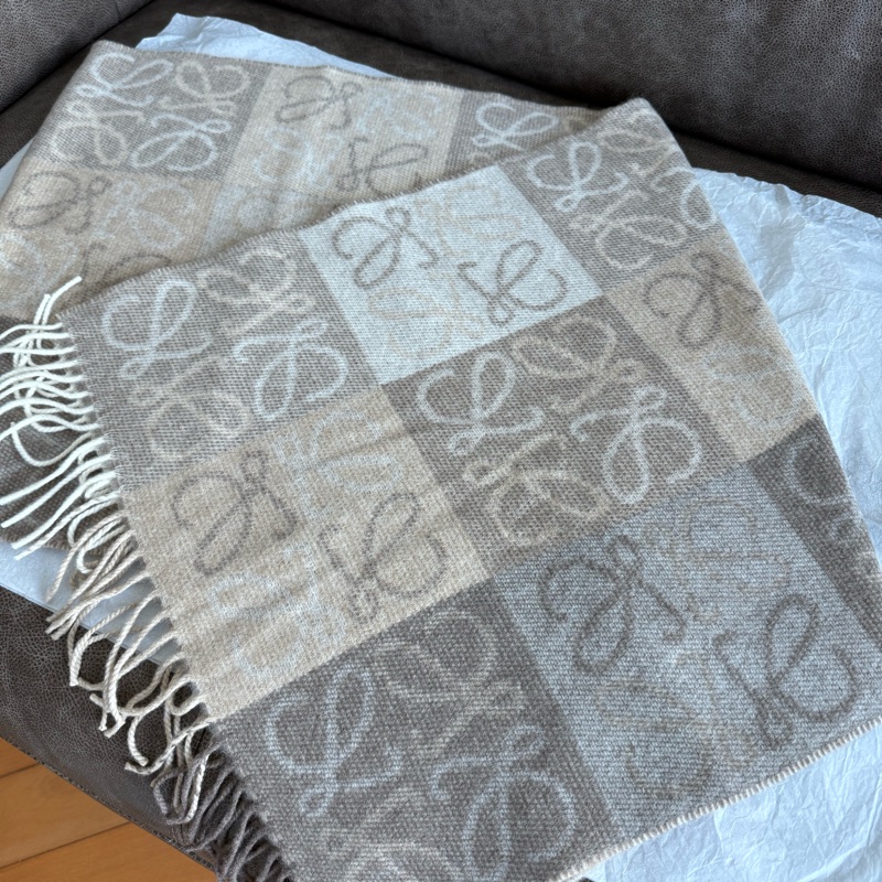Loewe 頸巾🧣襯夏天好價入貨，到冬天就加價-3