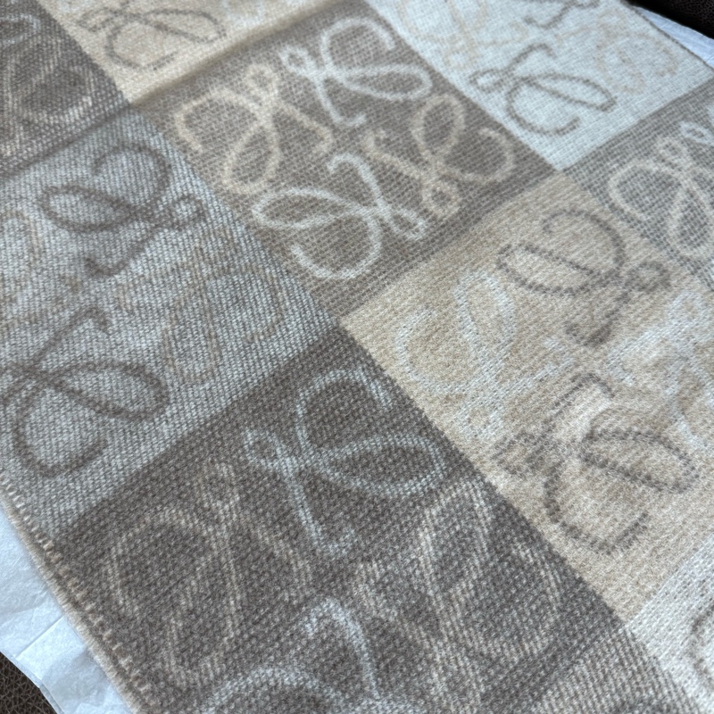 Loewe 頸巾🧣襯夏天好價入貨，到冬天就加價-4