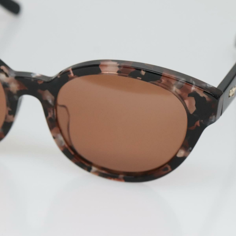 【日本直送】Salvatore Ferragamo 太陽眼鏡 塑膠 棕色 正品 BA4244-6