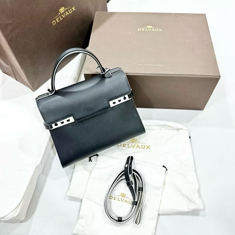 比利時皇家國寶Delvaux Tempete MM 限量版Rene magritte聯名雲朵內襯-0