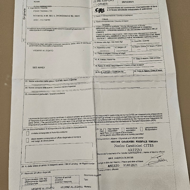 fendi鱷魚皮Peakboo手提肩背包-13