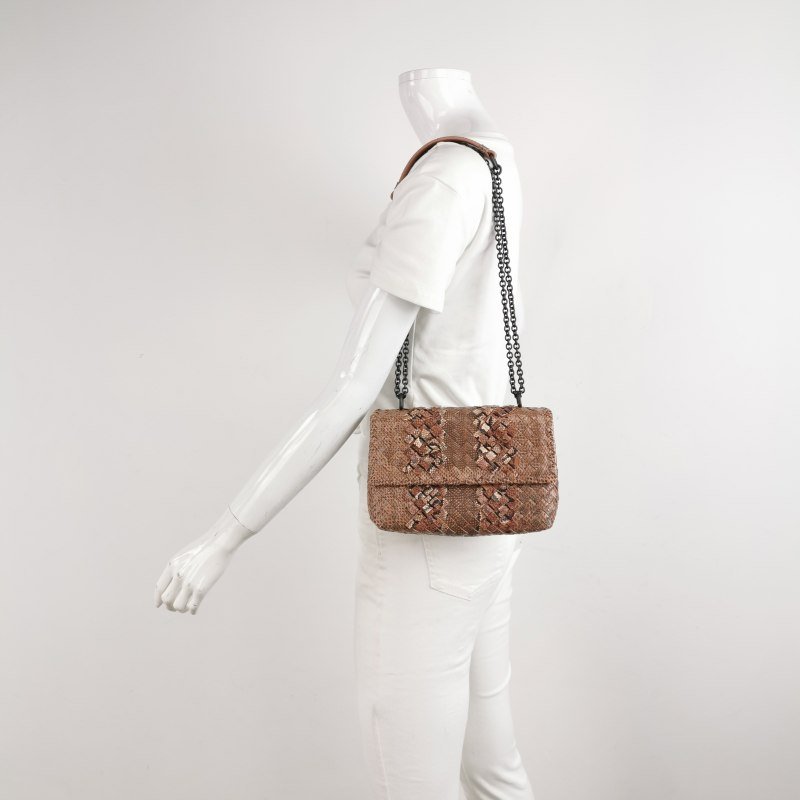 Bottega Veneta Olimpia 蛇皮 蜥蜴皮 雜色 Intrecciato 編織 單肩包-1