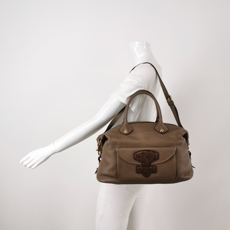 Loewe 牛皮 鴕鳥皮 拼色 拉鍊 單肩包-1