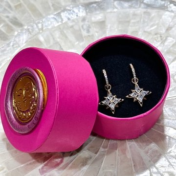 施華洛世奇Swarovski|玫瑰金閃耀北極星耳環-12