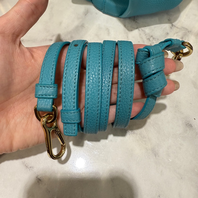 Loewe湖水藍牛皮金釦大象斜背包-5