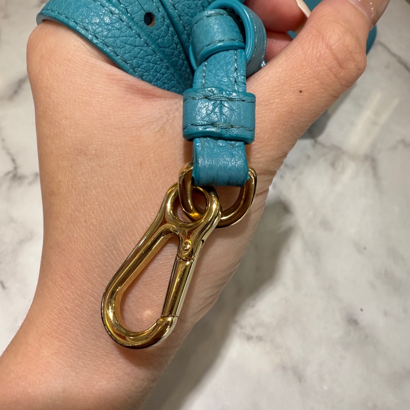 Loewe湖水藍牛皮金釦大象斜背包-6