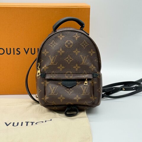 LOUIS VUITTON 路易威登 Monogram 經典花紋 MINI PALM SPRINGS 拉鍊 小書包 後背包 M41562