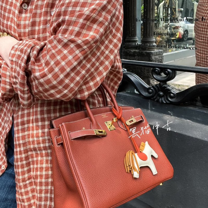HERMES Birrkin 25 - 楓葉棕金 U-11