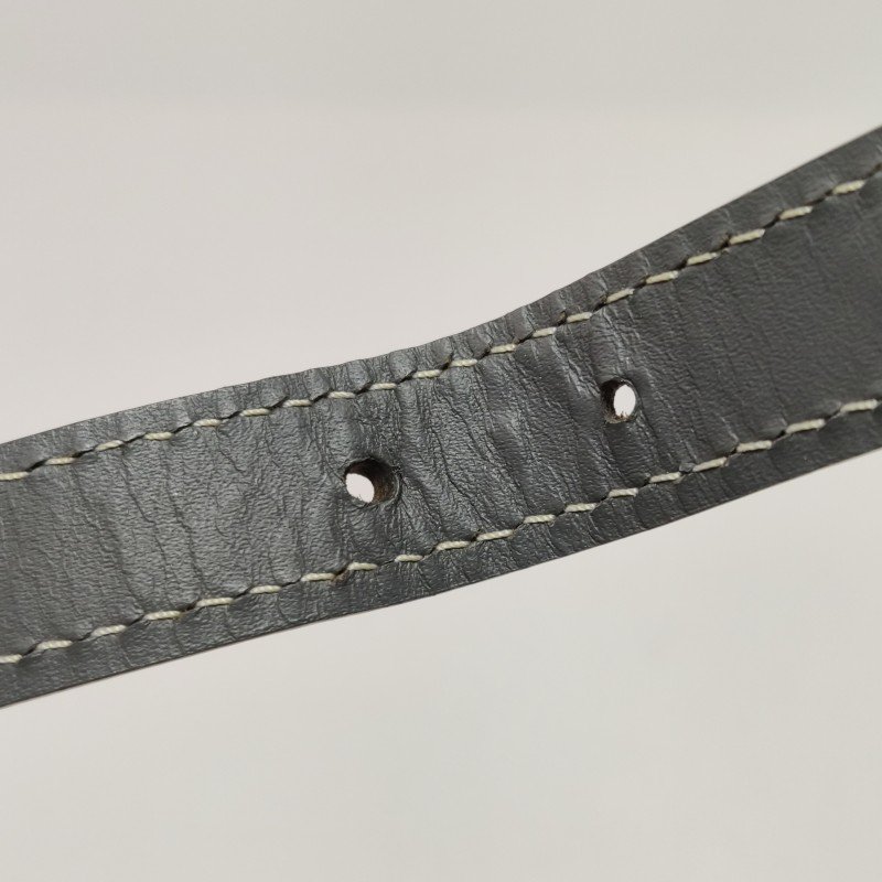 Goyard Belvedere 中號 牛皮 Y字 印花 金屬環插扣 斜背包-13