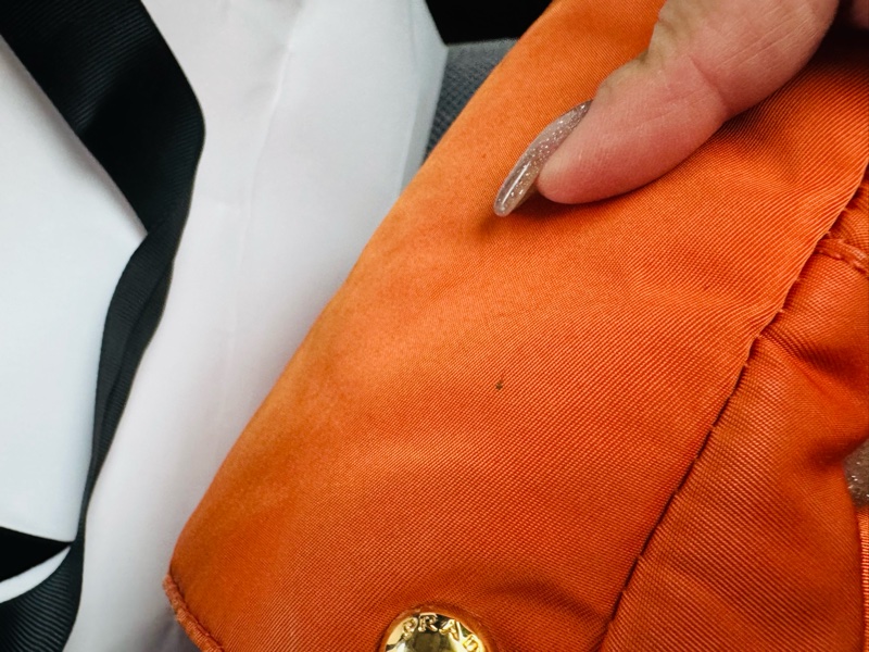 PRADA 愛馬仕橘登機、旅行-35