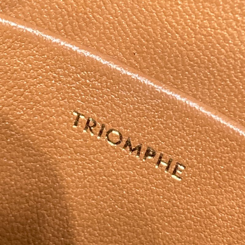 CELINE 賽琳 Teen 可斜背 Triomphe帆布 皮革 肩背包 白色老花 金棕色-9