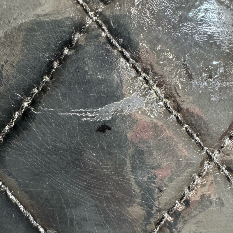 Chanel 黑色漆皮 大號手提化妝包-24