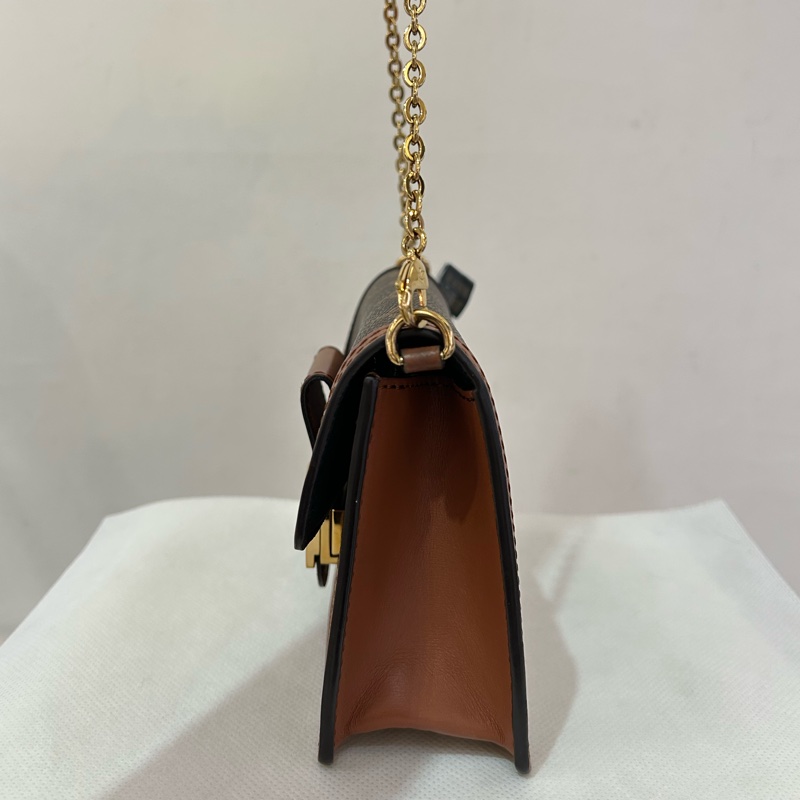 LV拼色老花Dauphine woc 鍊包-3