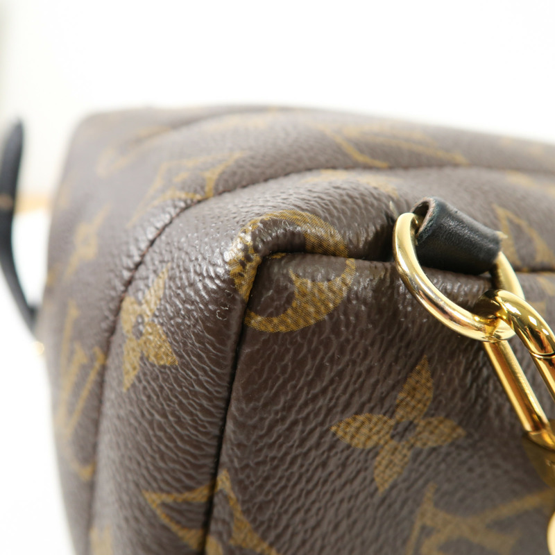 LOUIS VUITTON Monogram Palm Springs Mini金扣背包-11