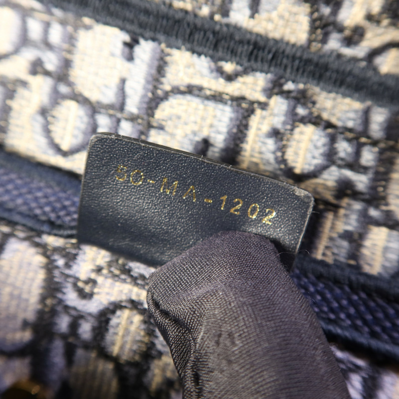 Dior 帆布Saddle Bag金扣手挽袋-7