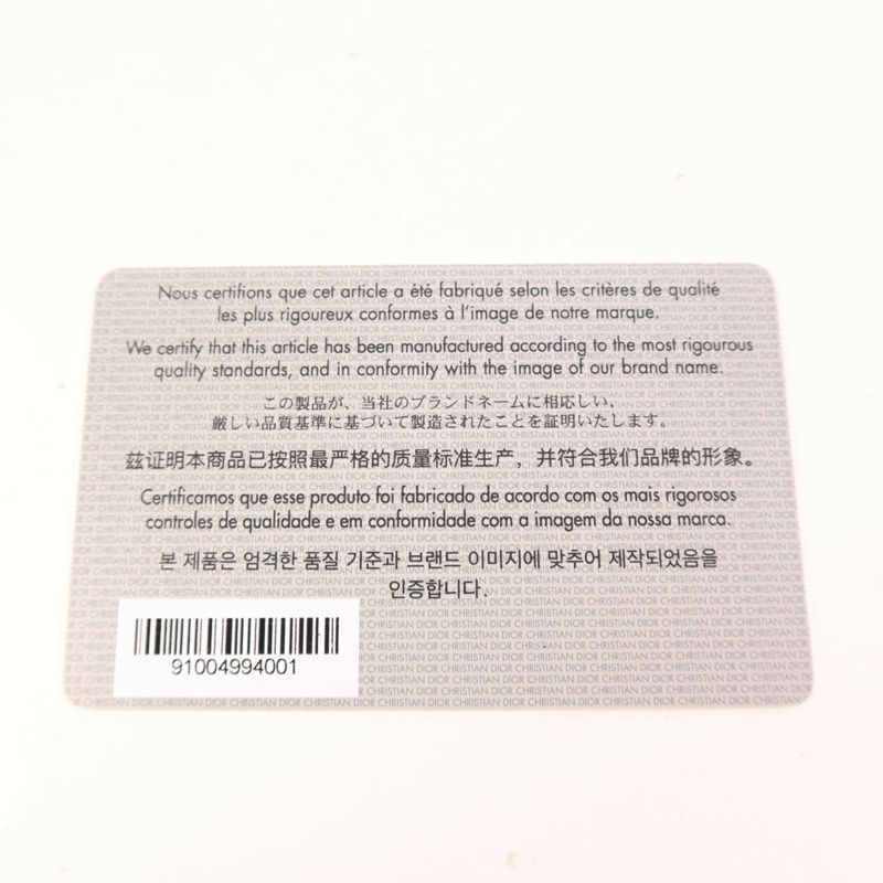 Dior 帆布Saddle Bag金扣手挽袋-8