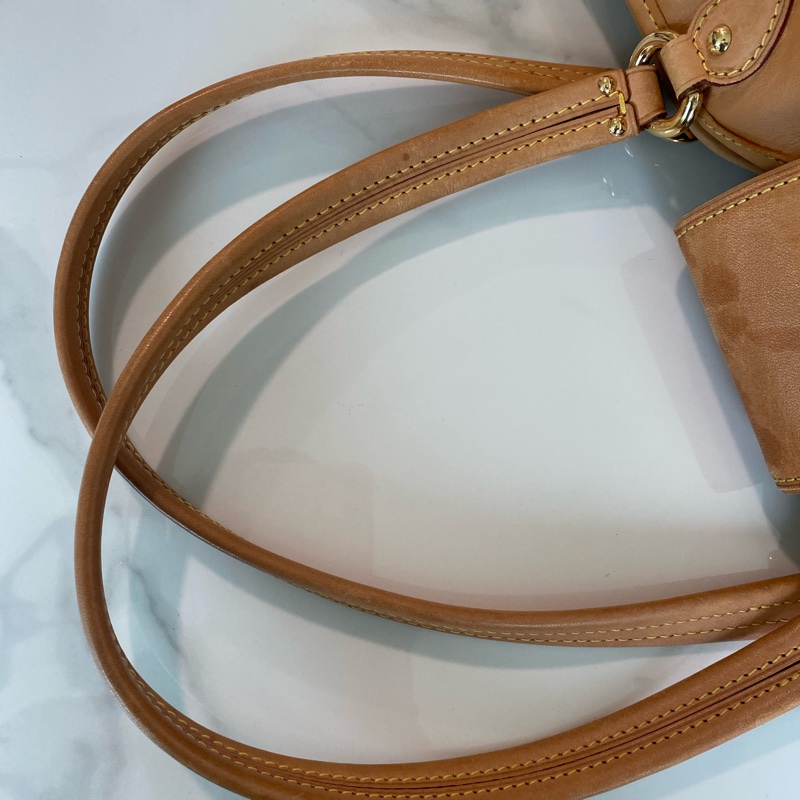 Lv 大金豆托特包-18