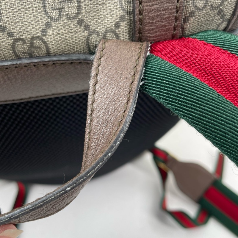 GUCCI Courrier米色塗層帆布老花刺繡雙肩包 後背包 金色五金-27