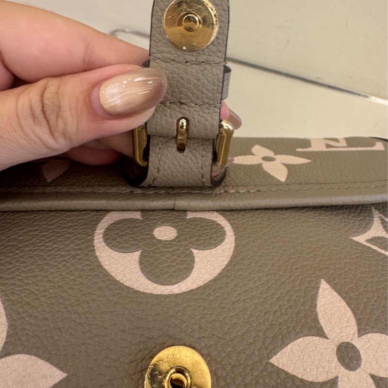 LV斑鳩灰法棍包-38