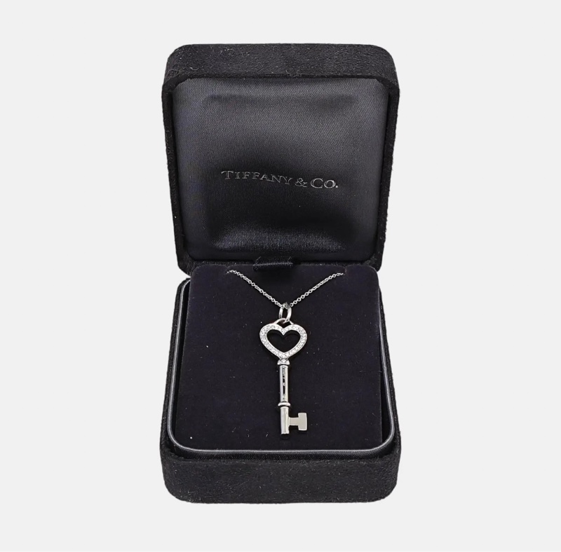 Tiffany 铂金\18k金中号项链-4